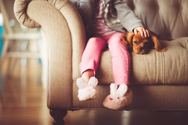 Can Therapy Dogs Help My Anxious Child?